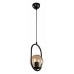 Подвесной светильник TopLight Kerrie TL1609H-01BK