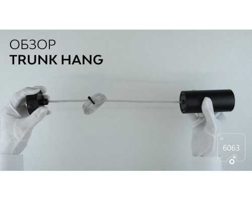 Подвесной светильник 6063 Trunk Hang 1130601