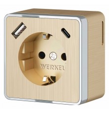 Розетка с заземлением и с шторками и USB Werkel Gallant шампань рифленый W5071710