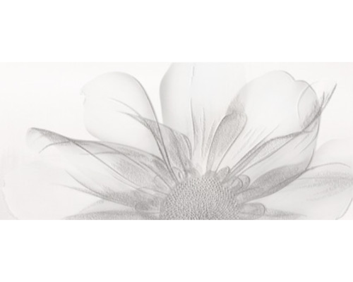 Decor Nagore Декор 27x60