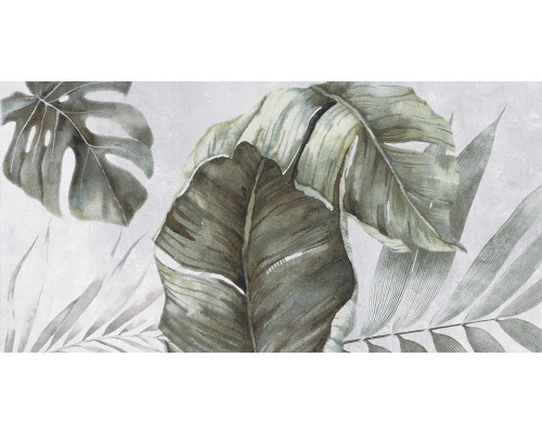 Etnis Плитка настенная светло-серый ботаника 18-00-06-3662 30х60