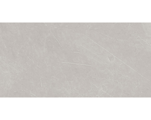 French Smoke Керамогранит светло-серый 60x120 Полированный