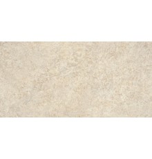 Stone-X Керамогранит Кремовый Матовый K949744R0001VTEP 60x120