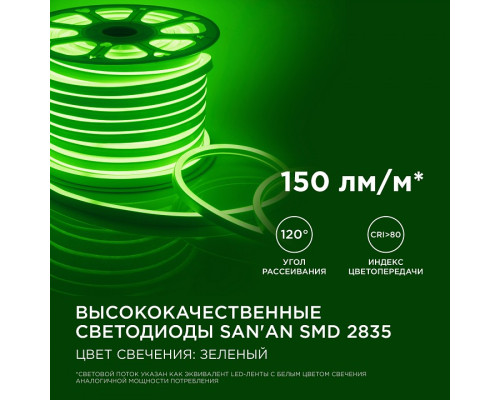 Шнур световой Apeyron Electrics  17-37