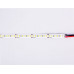 Лента светодиодная Ambrella Light GS GS1312