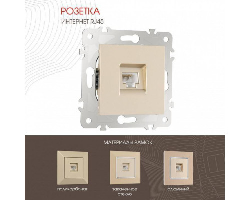 Розетка Ethernet RJ-45 без рамки Arte Milano am-203 203.45-1.shampan