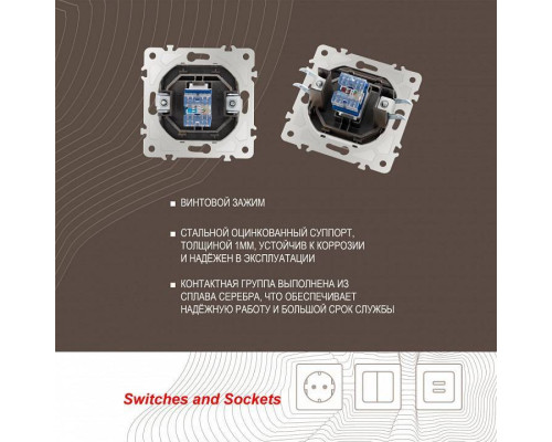 Розетка Ethernet RJ-45 без рамки Arte Milano am-203 203.45-1.shampan