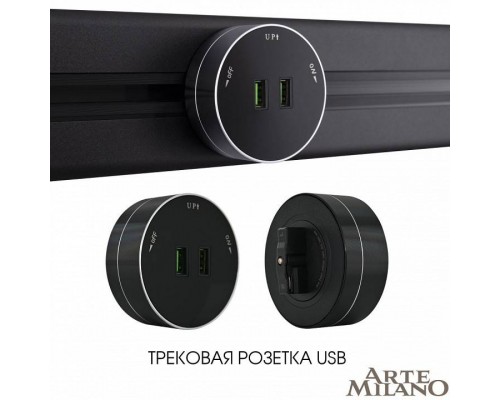 Розетка 2xUSB на треке Arte Milano Am-track-sockets 380011TS/USBx2 Black