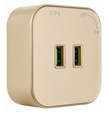 Розетка 2xUSB на треке Arte Milano Am-track-sockets 380022TS/USBx2 Gold