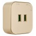 Розетка 2xUSB на треке Arte Milano Am-track-sockets 380022TS/USBx2 Gold