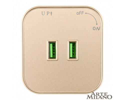 Розетка 2xUSB на треке Arte Milano Am-track-sockets 380022TS/USBx2 Gold