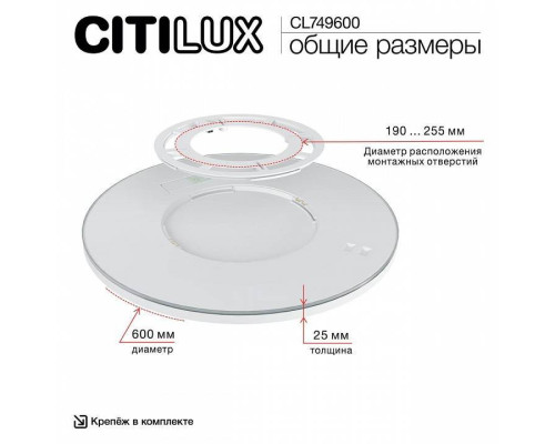 Накладной светильник Citilux NORMA CL749600