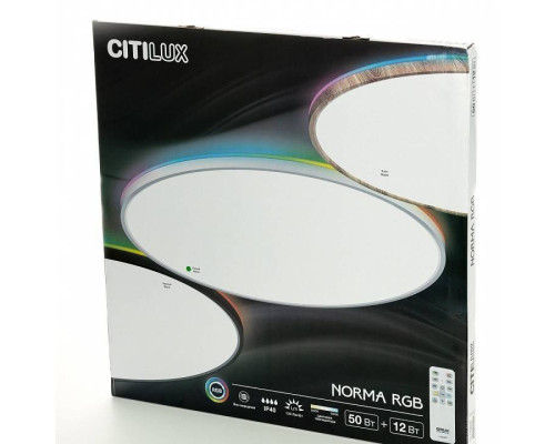 Накладной светильник Citilux NORMA CL749600