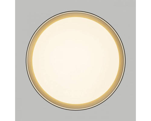 Накладной светильник Citilux BOSS CL751351G