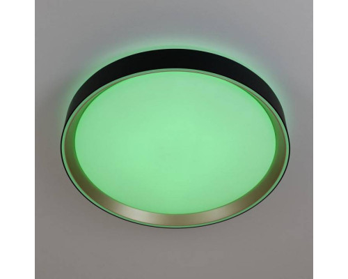 Накладной светильник Citilux BOSS CL751351G