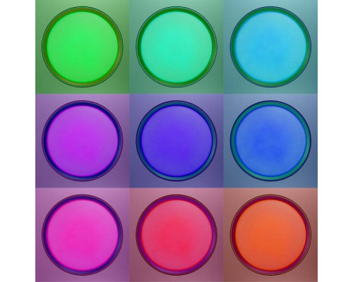 Накладной светильник Citilux BOSS CL751351G