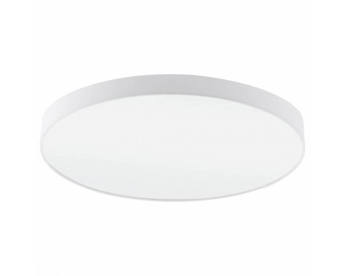 Накладной светильник Eglo ПРОМО Pasteri 97619