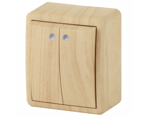 Выключатель двухклавишный с подсветкой Эра Эра Эксперт 11-1205-11