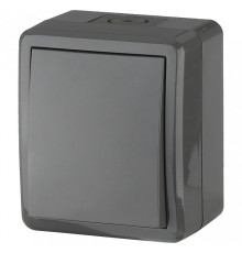 Выключатель одноклавишный Эра Эра Эксперт 11-1401-03