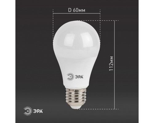 Лампа светодиодная Эра Стандарт LED A60-13W-860-E27