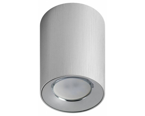 Накладной светильник Эра  OL1 GU10 SL/CH