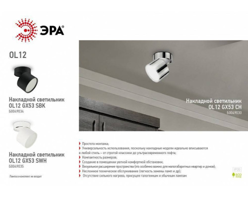 Светильник на штанге Эра OL12 GX53 SBK Б0049034