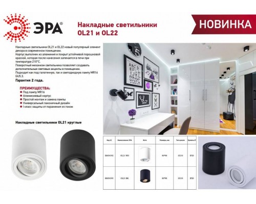 Накладной светильник Эра OL21 WH Б0054392