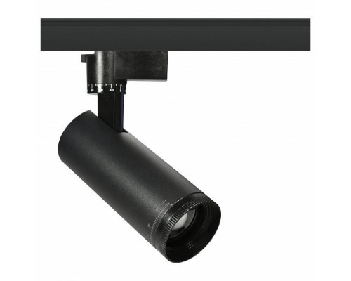 Светильник на штанге Эра  TR59 - 3030 BK
