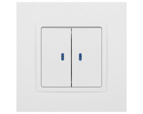 Выключатель двухклавишный с подсветкой без рамки Эра Эра Elegance 14-1105-01М