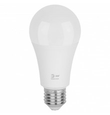 Лампа светодиодная Эра Green Line LED A60-25W-865-E27 GL