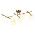 Люстра потолочная Evoluce SIERRA 7xE14 SLE1195-302-07