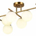 Люстра потолочная Evoluce SIERRA 7xE14 SLE1195-302-07