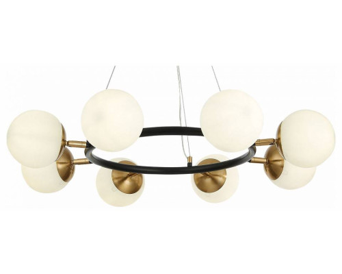 Подвесная люстра EVOLUCE Forli 8xE14 SLE220403-08