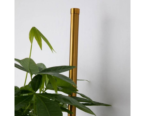 Бра Favourite Greenery 4050-2W