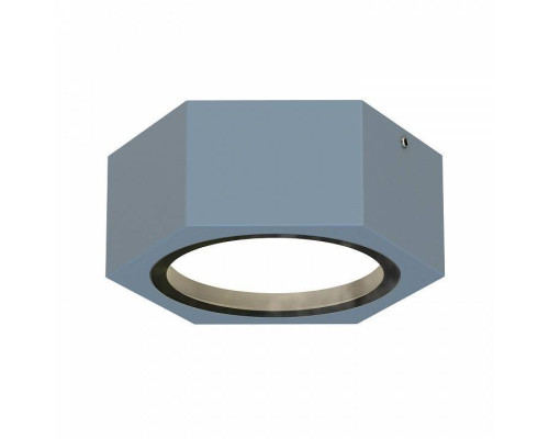 Накладной светильник Favourite Fantum 4666-1U