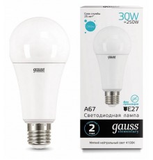 Лампа светодиодная Gauss Led Elementary A67 E27 30Вт 4100K 73229