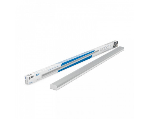 Накладной светильник Gauss  883525336