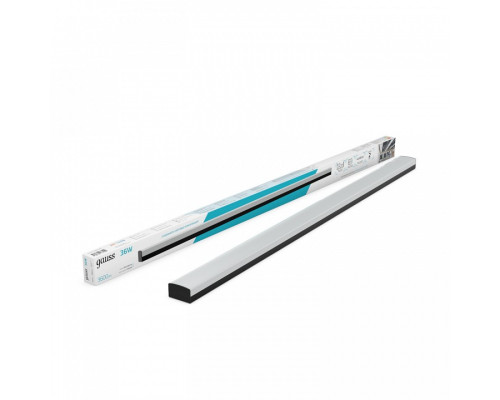 Накладной светильник Gauss  883625236