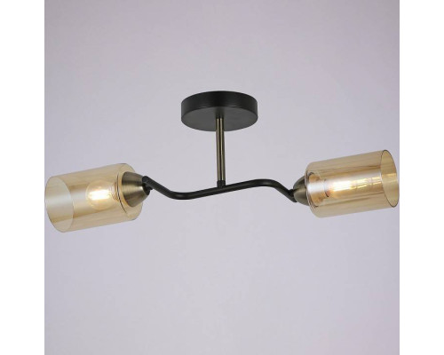 Светильник на штанге ILLUMICO Bice IL8148-2COU-79 BK BR Bice