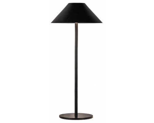 Настольная лампа декоративная Kink Light Паола 07210-T,19