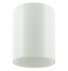 Накладной светильник LIGHTERA Shamrock LE201CL-1WA