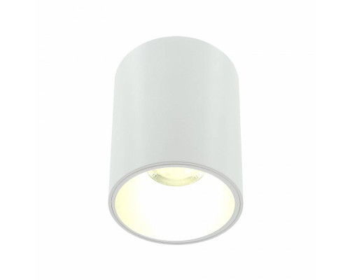 Накладной светильник LIGHTERA Shamrock LE201CL-1WA