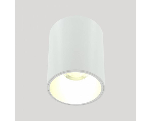 Накладной светильник LIGHTERA Shamrock LE201CL-1WA