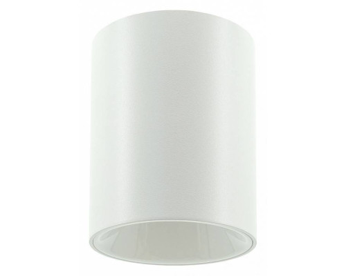 Накладной светильник LIGHTERA Shamrock LE201CL-1WB