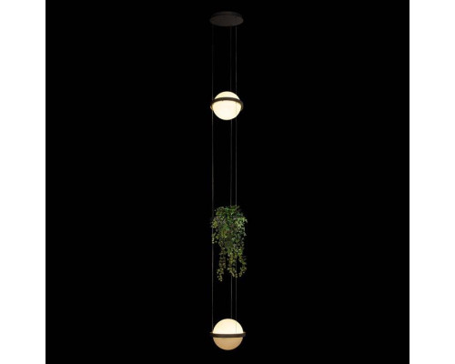 Подвесной светильник Loft it Jardin 10121/2P Dark grey