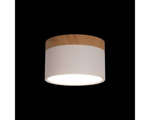 Накладной светильник Loft it Grape 10162 White