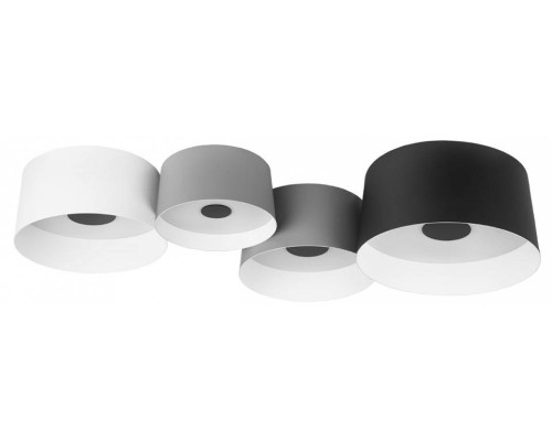 Потолочная люстра Loft it Duo 10360/4