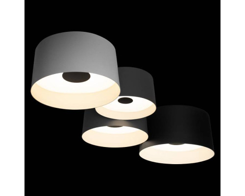 Потолочная люстра Loft it Duo 10360/4