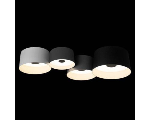 Потолочная люстра Loft it Duo 10360/4