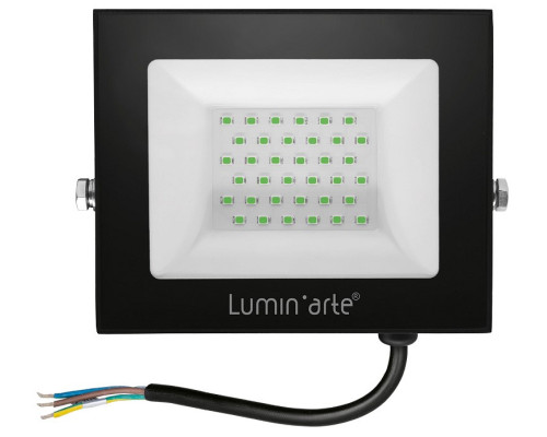 Настенно-потолочный прожектор Luminarte LFL LFL-50W/07